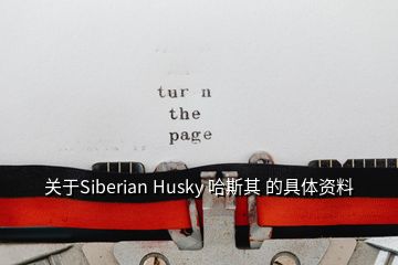 关于Siberian Husky 哈斯其 的具体资料