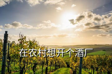 在农村想开个酒厂