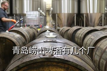 青岛崂山啤酒有几个厂