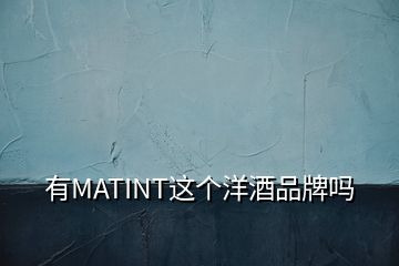 有MATINT这个洋酒品牌吗