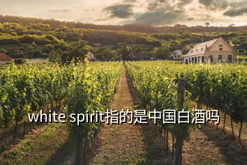 white spirit指的是中国白酒吗
