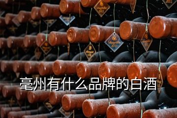 毫州有什么品牌的白酒