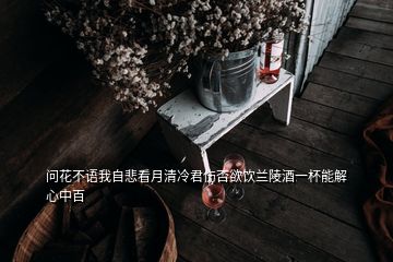 问花不语我自悲看月清冷君伤否欲饮兰陵酒一杯能解心中百