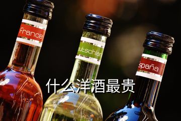 什么洋酒最贵