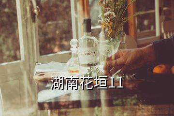 湖南花垣11