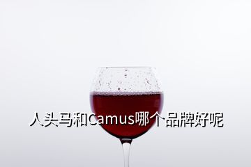 人头马和Camus哪个品牌好呢