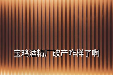 宝鸡酒精厂破产咋样了啊