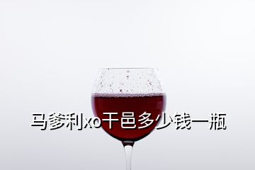 马爹利xo干邑多少钱一瓶