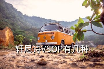 轩尼诗VSOP有几种