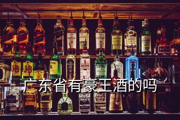 广东省有豪王酒的吗