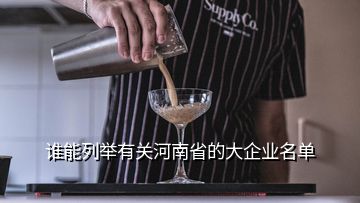 谁能列举有关河南省的大企业名单