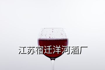 江苏宿迁洋河酒厂