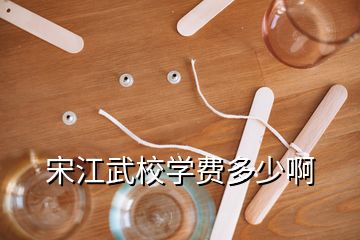 宋江武校学费多少啊