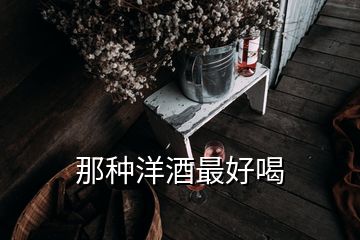 那种洋酒最好喝