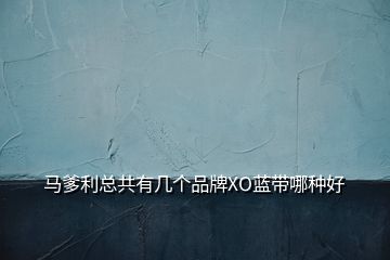 马爹利总共有几个品牌XO蓝带哪种好