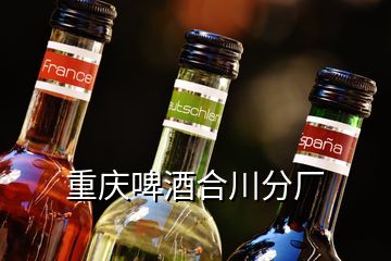 重庆啤酒合川分厂