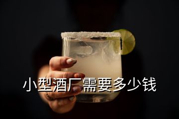 小型酒厂需要多少钱