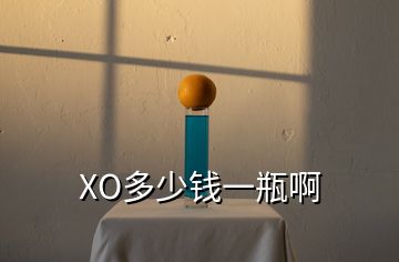 XO多少钱一瓶啊