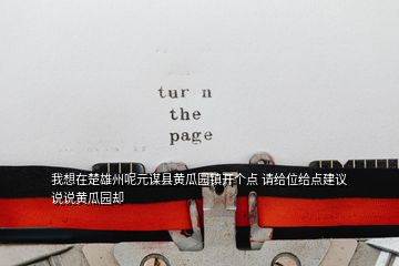 我想在楚雄州呢元谋县黄瓜园镇开个点 请给位给点建议 说说黄瓜园却