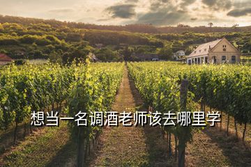 想当一名调酒老师该去哪里学