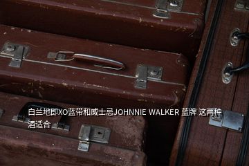 白兰地即XO蓝带和威士忌JOHNNIE WALKER 蓝牌 这两种酒适合