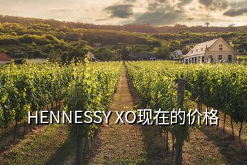 HENNESSY XO现在的价格