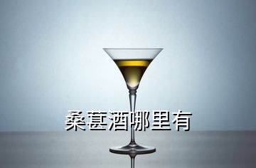 桑葚酒哪里有