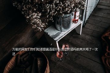 万能的网友们你们知道银酱酒是什么类型的酒吗前两天喝了一次还