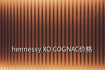 hennessy XO COGNAC价格