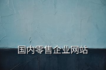 国内零售企业网站