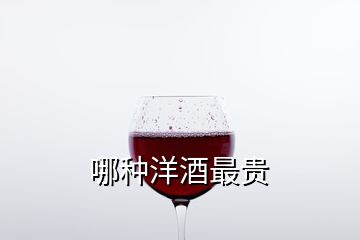 哪种洋酒最贵