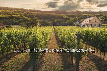 江苏洋河酒厂股份有限公司在其他省份的公司有那些