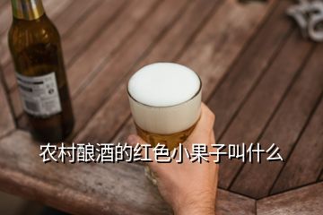 农村酿酒的红色小果子叫什么