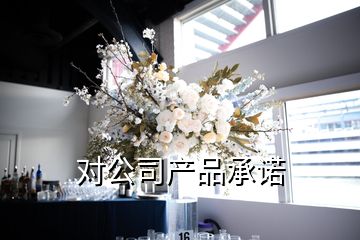 对公司产品承诺