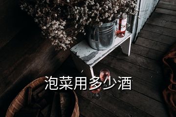 泡菜用多少酒