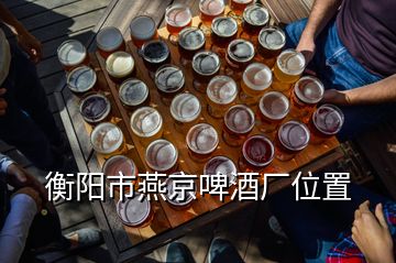 衡阳市燕京啤酒厂位置