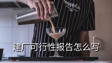 建厂可行性报告怎么写