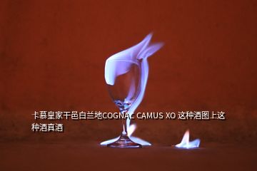 卡慕皇家干邑白兰地COGNAC CAMUS XO 这种酒图上这种酒真酒