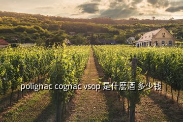 polignac cognac vsop 是什麽酒 多少钱