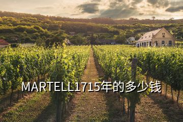 MARTELL1715年的多少钱