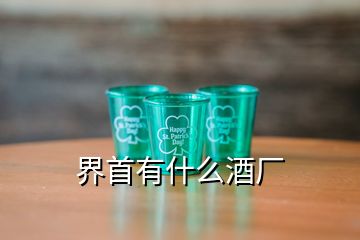 界首有什么酒厂