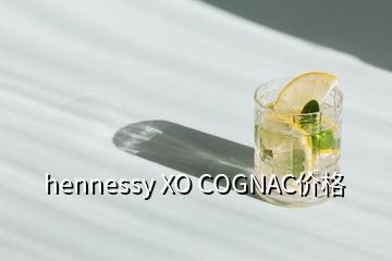 hennessy XO COGNAC价格