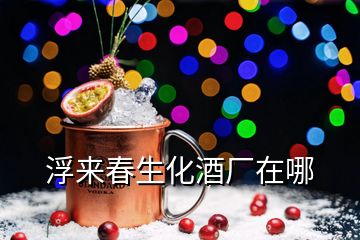 浮来春生化酒厂在哪