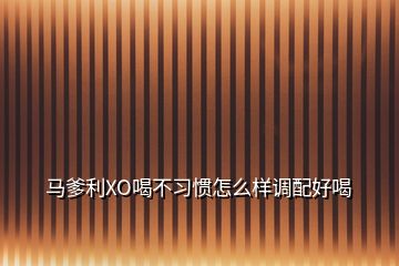 马爹利XO喝不习惯怎么样调配好喝