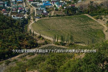 今天在屋里翻箱倒贵翻出来了十几张四川的粮票这几年都在炒钱