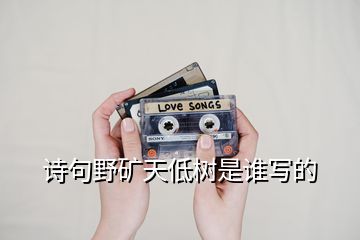 诗句野矿天低树是谁写的