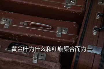 黄金叶为什么和红旗渠合而为一