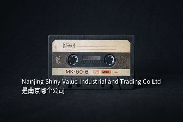 Nanjing Shiny Value Industrial and Trading Co Ltd 是南京哪个公司