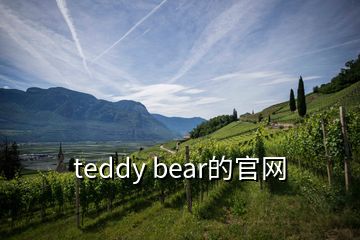 teddy bear的官网