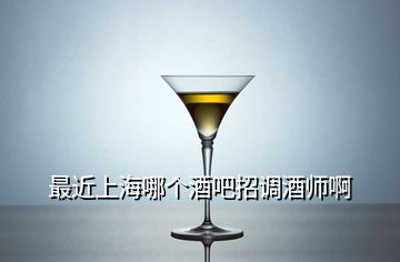最近上海哪个酒吧招调酒师啊